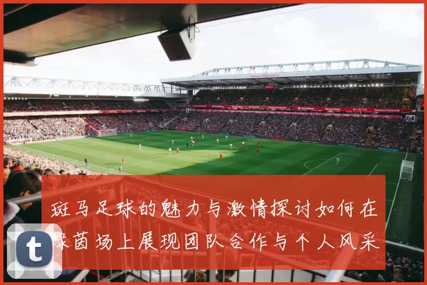 斑马足球的魅力与激情探讨如何在绿茵场上展现团队合作与个人风采