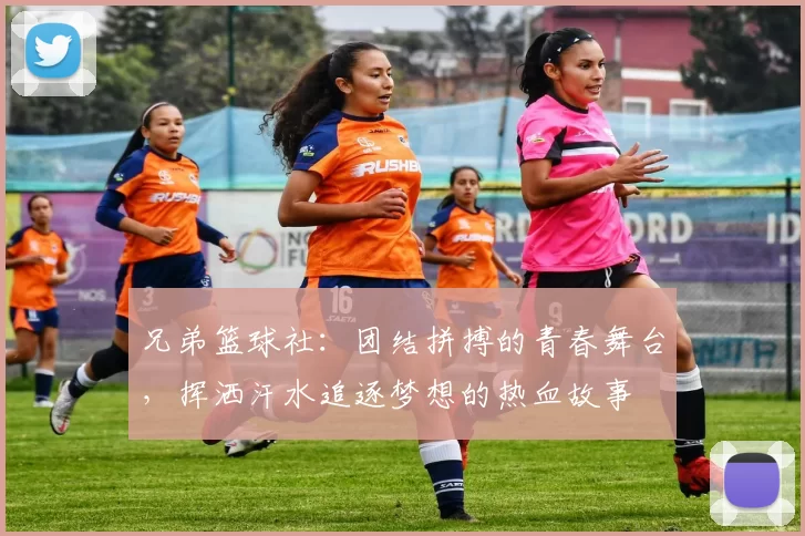 兄弟篮球社：团结拼搏的青春舞台，挥洒汗水追逐梦想的热血故事