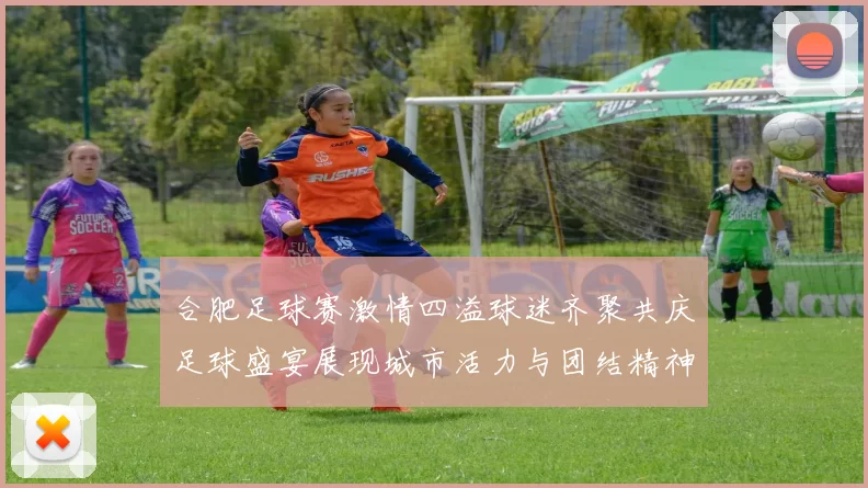 合肥足球赛激情四溢球迷齐聚共庆足球盛宴展现城市活力与团结精神